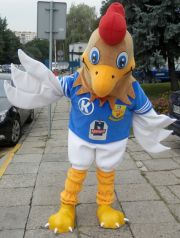 Elabika mascot costumes to order Rooster Akademia Kolejarz