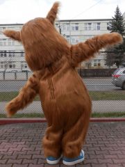 Kostiumy Kraków Elabika Potwór Tolerancja