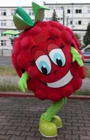 Professional advertising costumes Elabika to order Raspberry