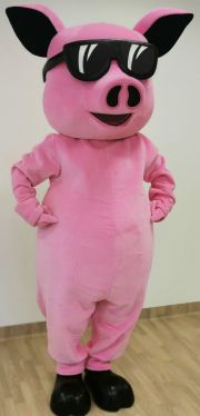 Polish advertising costumes Elabika Pig Crazy Pig