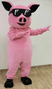 Firmowe stroje reklamowe Elabika Świnia Crazy Pig