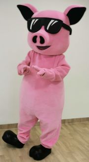 Mascot kostiumy reklamowe Elabika Świnia Crazy Pig