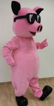 Projektowanie strojów reklamowych Elabika Świnia Crazy Pig