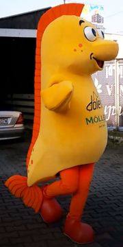Projektowanie strojów reklamowych Elabika Ryba Möllers