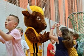 Strój maskotki na zamówienie Elabika Żubr Żubry Białystok