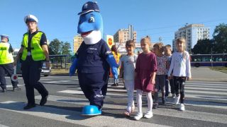 Polfin maskotka kujawsko-pomorskiej Policji
