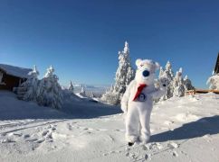 Kostium reklamowy Miś Akademia Misia Polarnego Karpacz