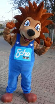 Jeż przebranie Edek Echo Dnia