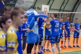Niebieski koliber kostium maskotka Astra Nowa Sól