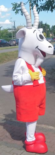 Maskotka Kozioł