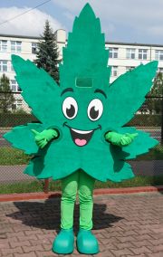 Kostium kannabis konopi Bio Konopia 