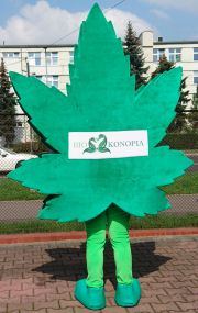 Liść marihuany Bio Konopia