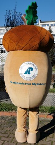 Strój przebranie żołędzia Żołądź Nadleśnictwo Myślibórz