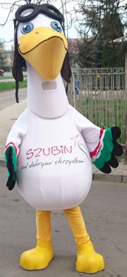 Kostium maskotka Pelikan Szubin