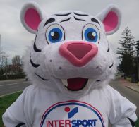 Strój tygrys InterSport