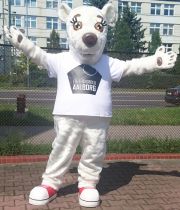 Biały misiek Aalborg