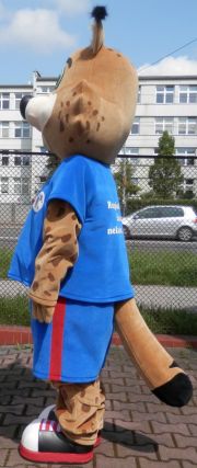 Strój Ryś