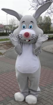 Zając szarak