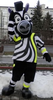 Kostium Zebra Fluo