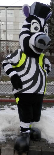 Strój Zebry Fluo