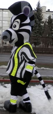Zebra w czarno-białe paski Fluo