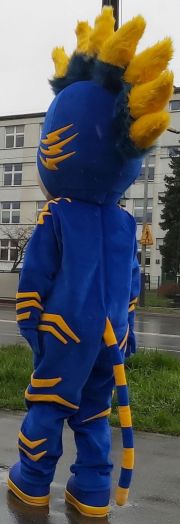 Postać kotochłopca