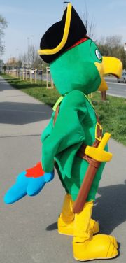 Papuga wielokolorowa