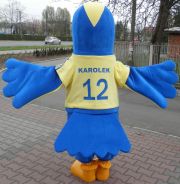 Przebranie za Kolibra