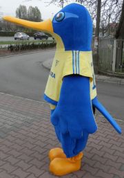 Maskotka ptak Koliber