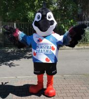 Czajka strój przebranie ptaszek ptak
