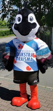 Przebranie ptaszek Czajka