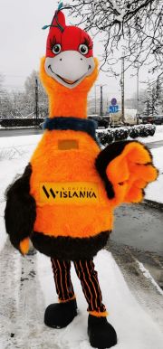 Kostium reklamowy Ptak