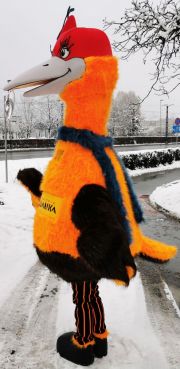 Wielobarwna maskotka Feniks