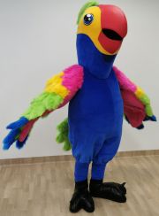 Papuga maskotka