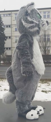 Pluszak kot