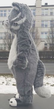 Strój reklamowy symbolizujący kota