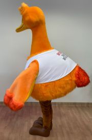 Ptak stroje promocyjne strusie