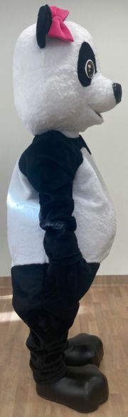 Miś panda strój reklamowy