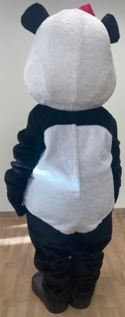 Miś panda