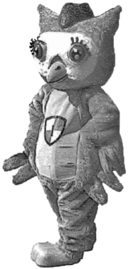 Przebranie za sowę kostium reklamowy Sowa wojak CRiWWRE - projekt