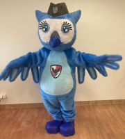 Strój ptaka sowy