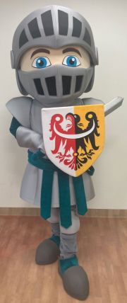 Kostium eventowy chłopiec