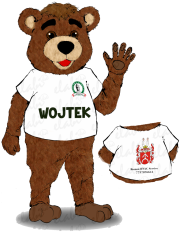 Patriotyczny strój promocyjny w postaci misia Miś Wojtek USA - projekt