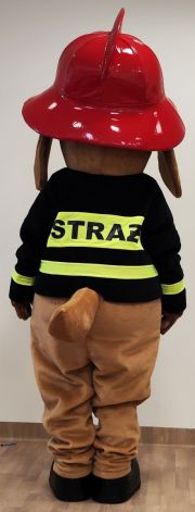 Przebranie za psa