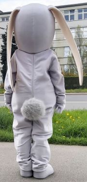 Zając kostium maskotka marketingowa