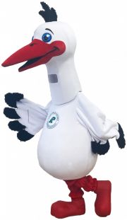 Bocian strój