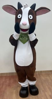 Kostium koza 