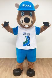 Bóbr kostium reklamowy