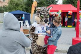 Elabika stroje reklamowe Ryś Developres Rzeszów