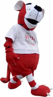 Elabika stroje reklamowe Tygrys ŻKS Ostrovia